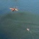Эхолот сонар SwellPro SplashDrone 4 (SwellPro)