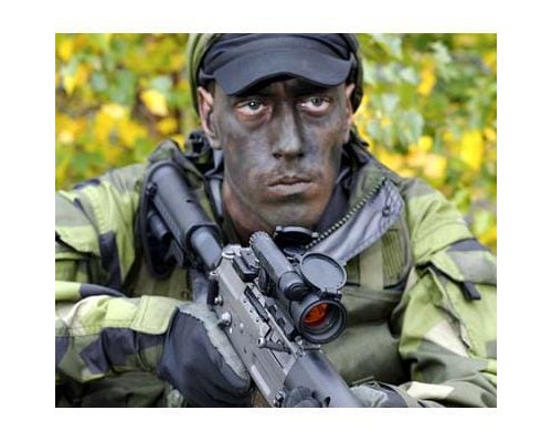 Коллиматорный прицел закрытого типа Aimpoint CompM4s 2 MOA (QRP2 Complete) Коллиматорный прицел закрытого типа Aimpoint CompM4s 2 MOA (QRP2 Complete)
