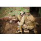 Тактическая сумка-рюкзак с медицинским комплектом R-AID BAG Tactical Medical Solutions
